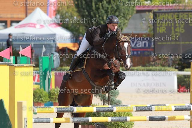 SESTINI_WANDERER_GIO CAV 2011_SS3_0597.jpg